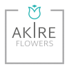 cropped-AKIRE-LOGO-COLOR.png